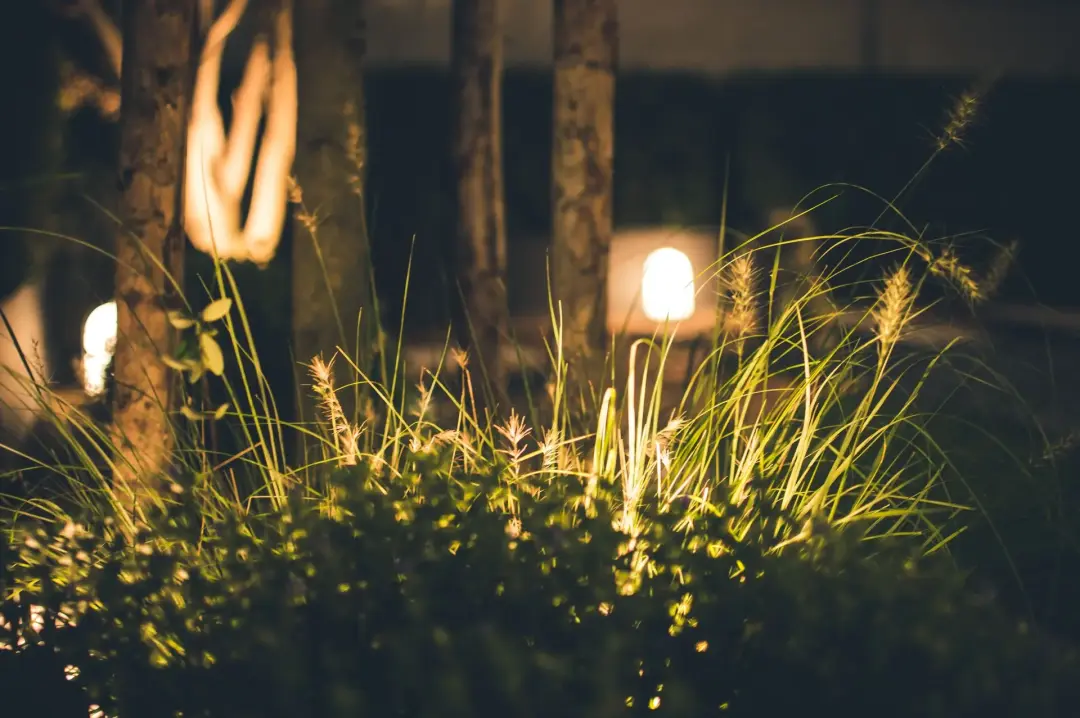 Garden Lighting Electrician Bury St Edmunds Newmarket Stowmarket